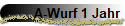 A-Wurf 1 Jahr