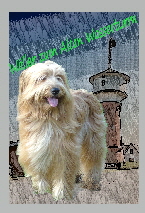 Wasserturm-3