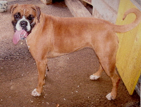 phiby